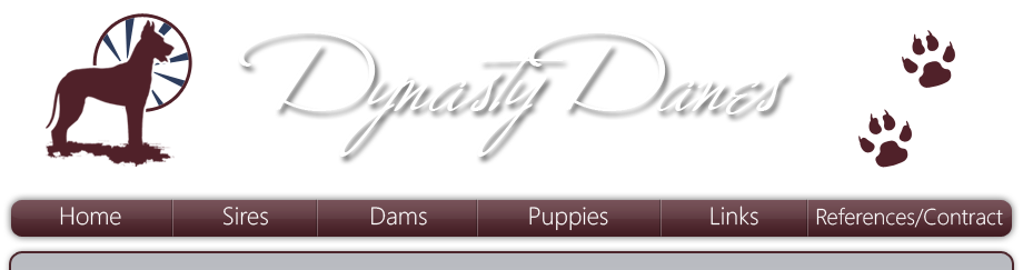 Dynasty Danes